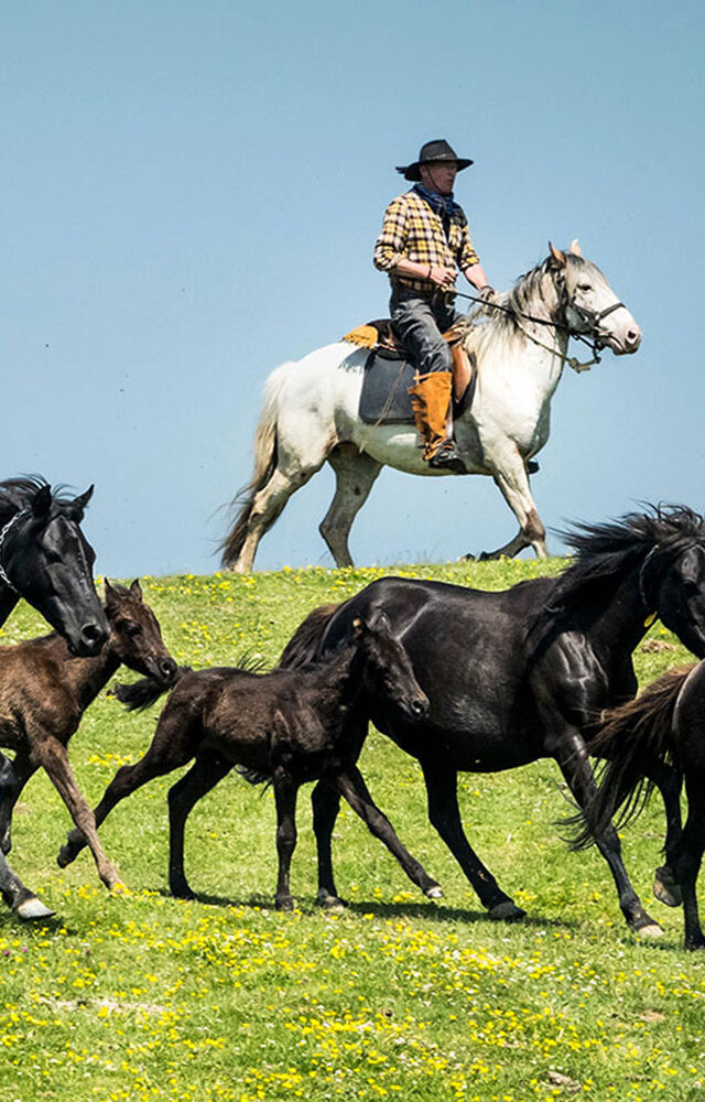 https://bearsandwaves.com/wp-content/uploads/2022/10/Horseback-Asturias-Spain-069-1-640x1000.jpg